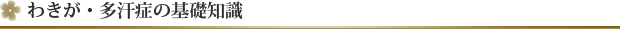 わきが・多汗症の基礎知識